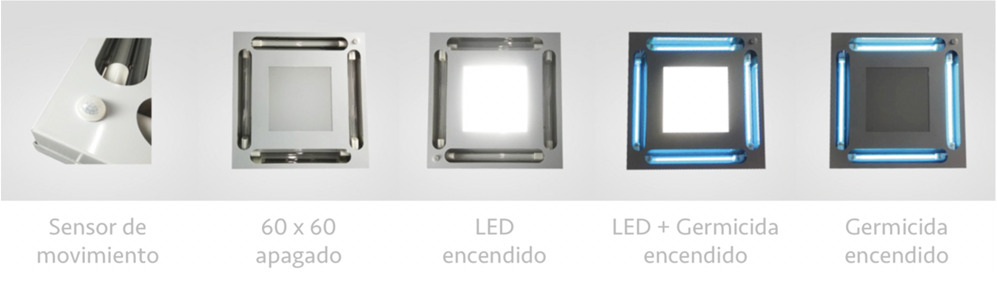 Germiled Duo